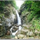 숲과계곡속으로 이미지