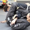 크로스 주짓수 이미지