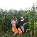 새(고경) 이미지