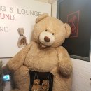 몽돌게임랜드 이미지