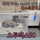 강산동물병원 | [반려 용품]기관기 안좋은 우리 댕댕이 할배 산소특공대 오투맥스90 강아지 산소방 대여 후기