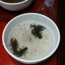 반갑소 농장 이미지