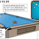 나인볼 Daum카페