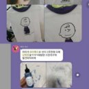 박사 세탁 이미지