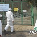 (주)지산농원 뉴스1