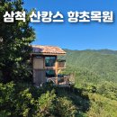 향초목원 | 삼척 애견동반 펜션 향초목원 장단점 솔직후기! 삼척시 숙소 추천