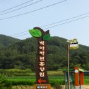 백야낚시터 네이버블로그
