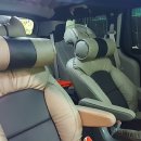 뉴그린세차장 이미지