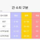 간질환 종류와 증상 간수치 정상 범위 이미지