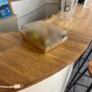 에스스테이 | 제주 서쪽 판포포구 숙소 제주도 게하 스테이예스 장단점 정리