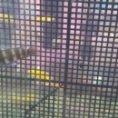 금성수족관 이미지