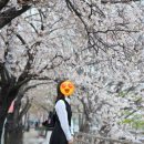 드론의 세계 | 2026 서울스프링페스티벌 총정리｜여의도 한강공원 드론쇼 후기 (BT21 in Seoul)