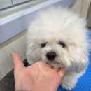 Mong's(몽'스) 이미지