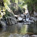 칠선농장 이미지