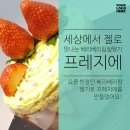 베리 이미지