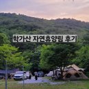 학가산우래자연휴양림 야영장 | 경북 예천 학가산 자연휴양림 방갈로 5 이용 후기