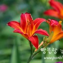 . 이미지