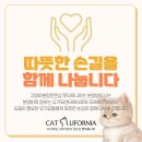 캣리포니아 이미지