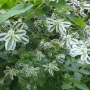 애지중지 이미지