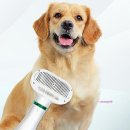 미미펫 그루밍 샵 이미지