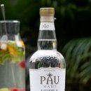 와이제이코리아 이미지