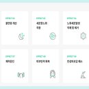 오아시스디앤디