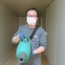 닥터 다자바