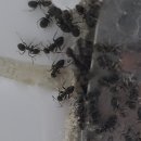 구로-구로-구로-1669 이미지