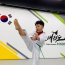 삼호(태권도) 이미지