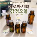 아로마오일 | 동탄원데이클래스 추천, 아로마시티 감정오일 솔직후기