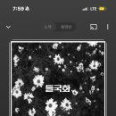 혼저옵서예제주
