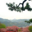 완산-7 이미지