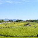 풍경하루 이미지