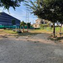 하남애견훈련소 이미지