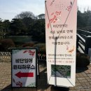 금강수변공원4 | 세종 베어트리파크 입장료 아이랑 갈만한 곳 추천