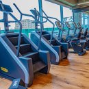 플랜원피트니스 이미지