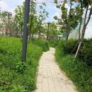 한림 도서관 앞 이미지