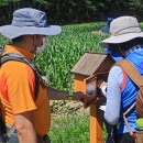 바우길 13구간 이미지