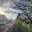 맘에든유치원 이미지