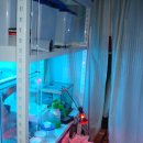 용산-이촌-185 이미지