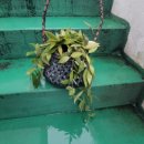 동홍동-16 이미지