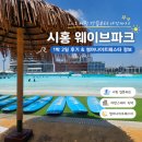 거북파크 | 시흥 웨이브파크 서핑 입문 후기｜Lv.1 강습부터 어반스테이·썸머나이트페스타까지 1박 2일