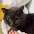 퇴계2차(아) 경로당 | 제주여행이랑 일상🐽