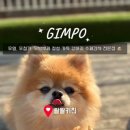 왈왈키친 이미지