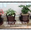 오포현대공인중개사사무소 이미지