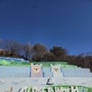 홍천축협동물병원 | 강원도 홍천 당일치기_알파카월드_오픈런 후기