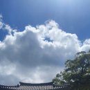 대청 계곡길 이미지