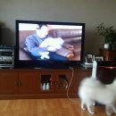 일우농장 이미지