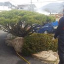 철마우체국 이미지