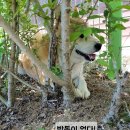 즐거운농장 이미지